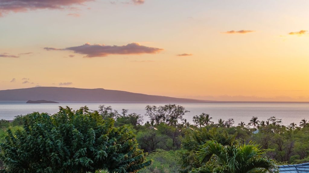 Tropical ocean view at Wailea Fairway Villas with ocean and island in the background, surrounded by palm trees and lush landscaping