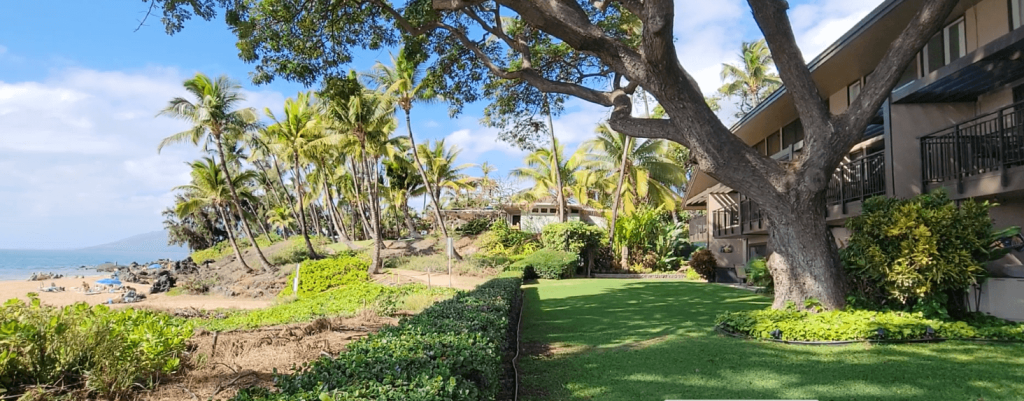 Exterior view of Kamaole One beachfront condos in Kihei, Maui, with grassy lawn, mature trees, tropical landscaping, and sandy Kamaole Beach in the background